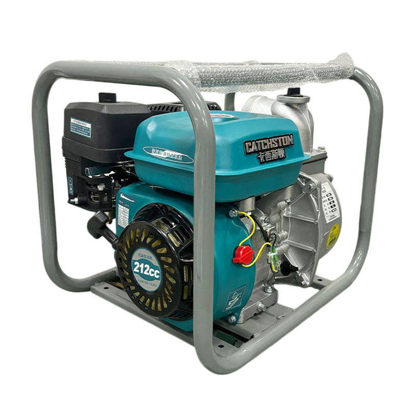 卡西斯顿 抽水泵 WP-40B 台高清大图