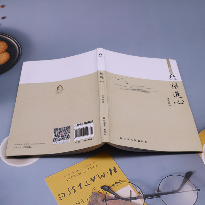 [正版]书店 书籍精进心(普隐心语) 哲学宗教 社科知识读物高清大图