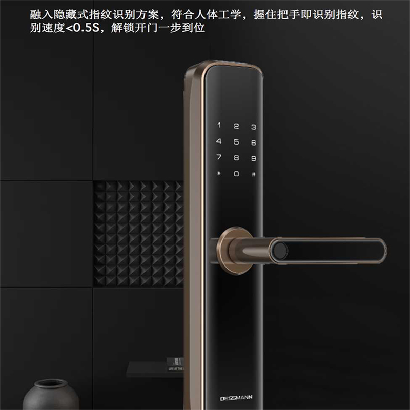 TENDZONE 德施曼 指纹锁家用防盗门密码锁G100(单位:把)