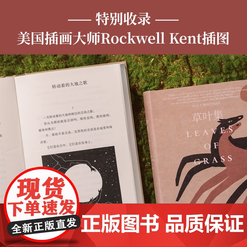 草叶集:惠特曼诗选 “自由诗之父”传世之作 惠特曼研究专家著名诗歌翻译家李野光译本 收录内文插图和生平年表 美国诗歌外国高清大图