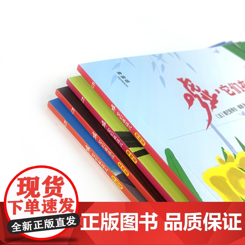 嘘,它们在这儿:雨林篇高清大图