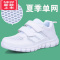 可莉允儿童白色运动鞋男童白鞋女童小白鞋幼儿园宝宝旅游小学生波球鞋子运动休闲鞋