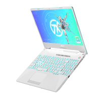 华硕(ASUS)FA506Q天选2 锐龙R9(R9-5900H 16G 512G 3060-6G 15.6)魔幻青