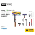 戴森（Dyson）手持吸尘器 V12 DT slim abs plus 407217-01