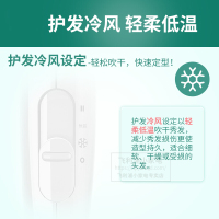 飞利浦(Philips) 电吹风机 家用小功率 可折叠便携式电吹风筒 负离子护发 BHC019/05