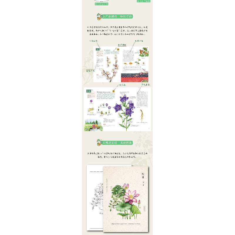 醉染图书奇妙的本草世界——二十四节气草百9787533567811高清大图