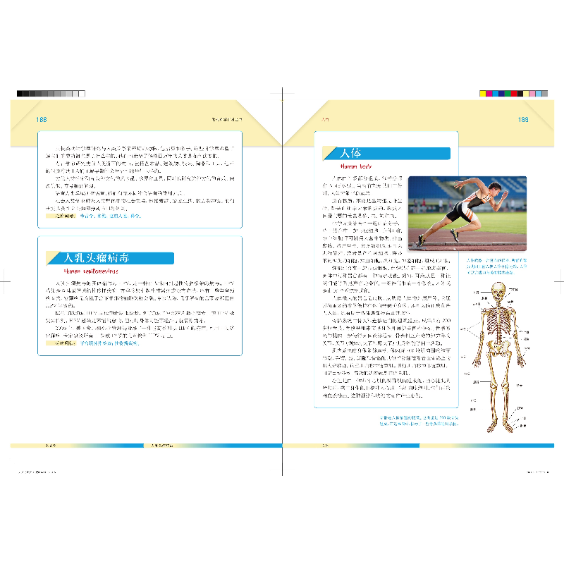 正版新书]新书--发现科学百科全书:人类2[美]世界图书公司,陈仁高清大图