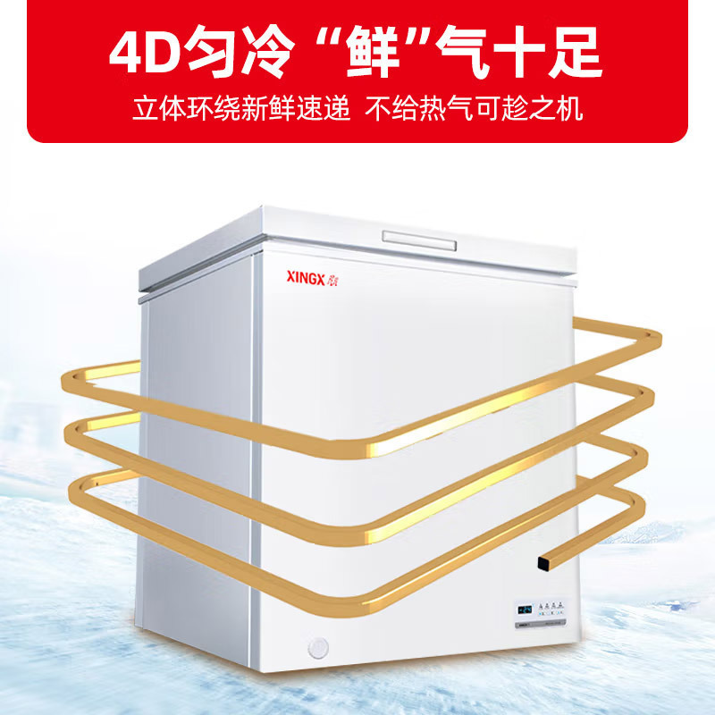 星星(XINGX) 147升商用家用双温冰柜 迷你单温小冰箱冷藏冷冻冷柜BD/BC-147JE