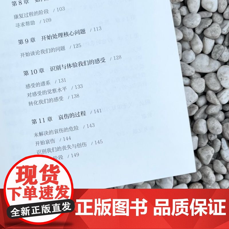 正版 拥抱真实自我:内在小孩的探索和疗愈 Charles L. Whitfield 探索内在小孩 了解真实的自我 真高清大图