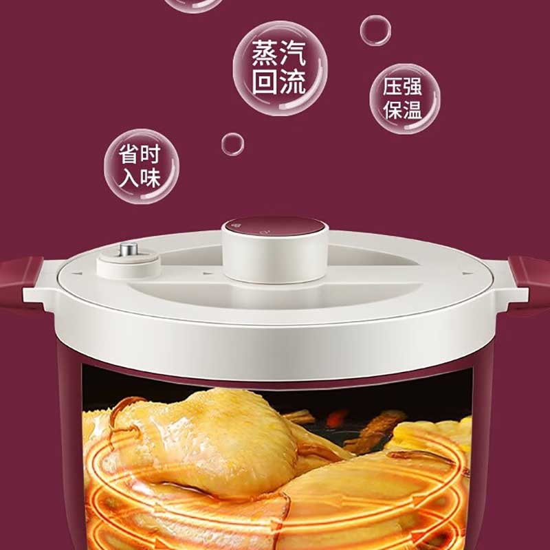 COSTA 咖世家 多功能料理锅电火锅 CT-02L01高清大图