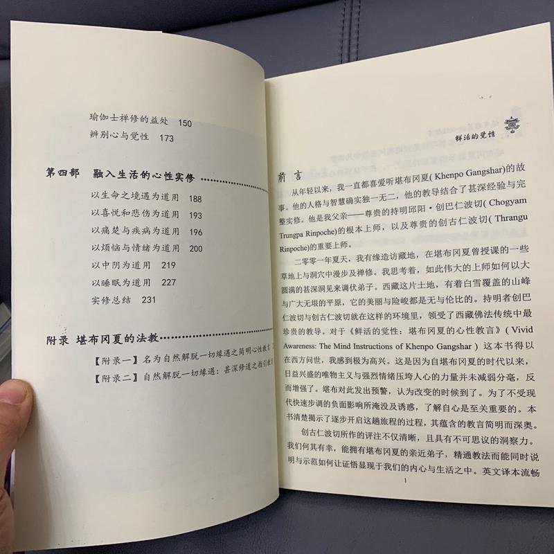 鲜活的觉性 堪布岡夏的心性教言 大手印与大圆满精要 创古仁波切高清大图