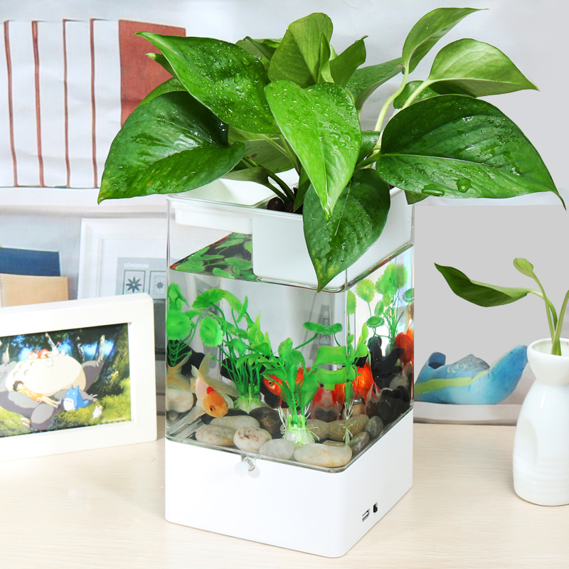 水培植物养鱼缸一体家用塑料创意懒人小型免换水桌面斗鱼专用客厅高清大图