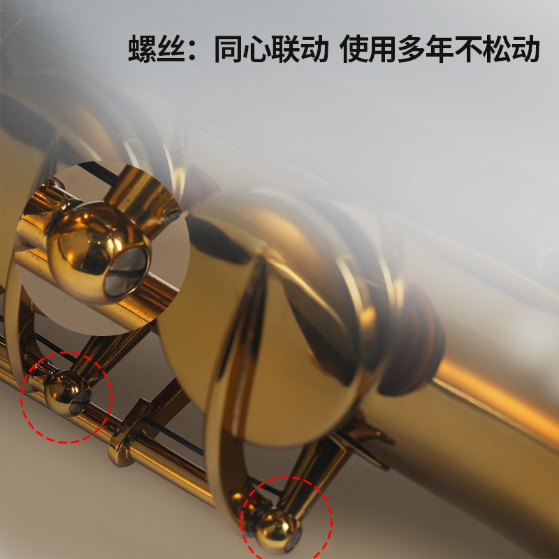 罗林斯卡洛兰高音萨克斯降b直管萨克斯管乐器初学演奏通用a1