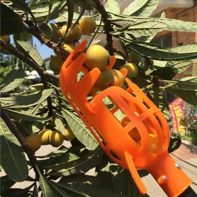 高空摘果器可伸缩杆采摘器摘杨梅神器采枇杷樱桃李子水果工具一个摘果