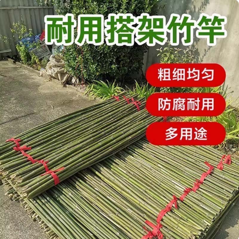 竹竿 2.5cmX1.5米
