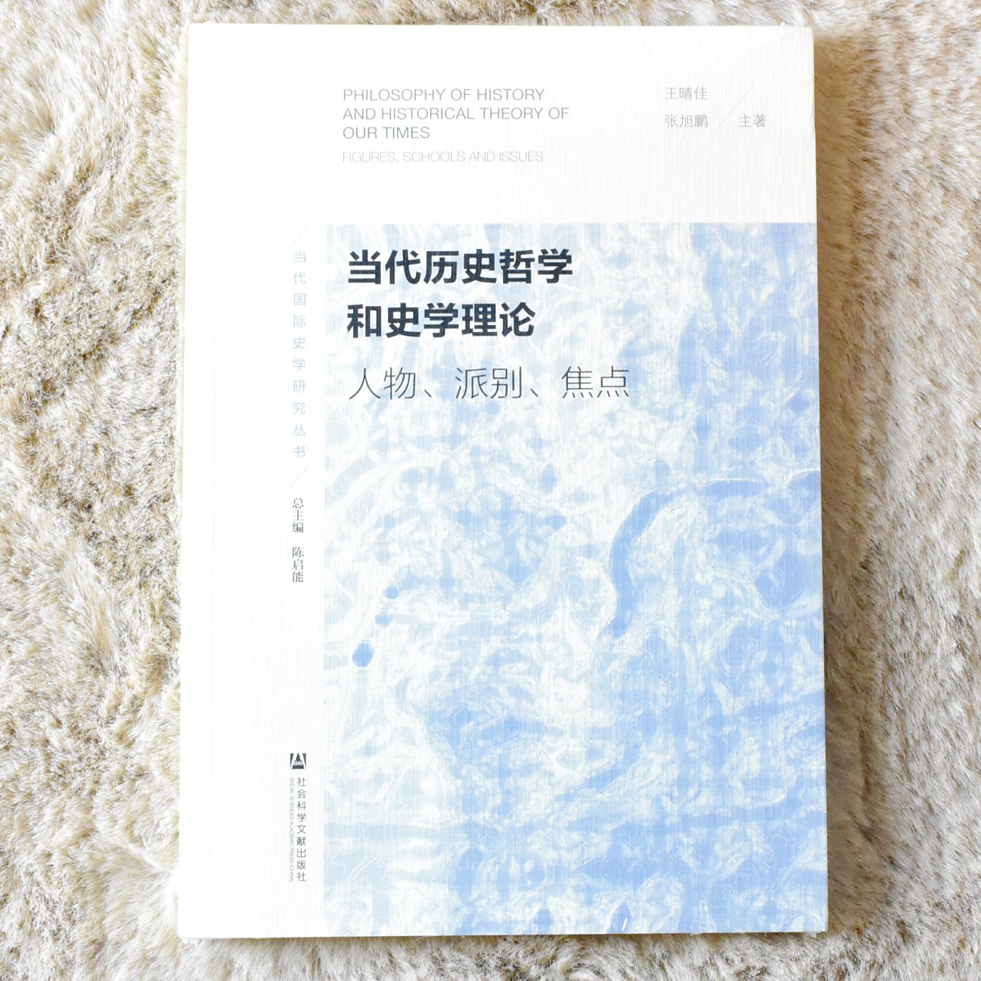 [正版] 当代历史哲学和史学理论作者: 王晴佳 / 张旭鹏 出版社: 社会科学文献出版社 9787520152525高清大图