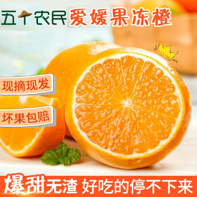 [五个农民]眉山丹棱爱媛38号果冻橙5斤中果16枚以内现摘当季水果柑橘蜜桔子