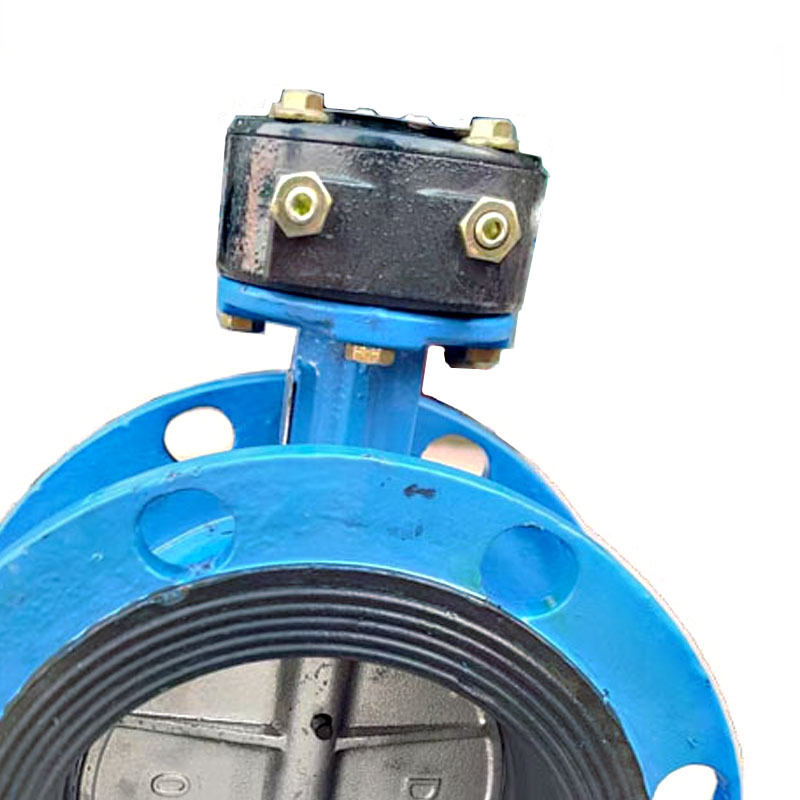 瑞吉君 法兰蝶阀 DN100 个高清大图