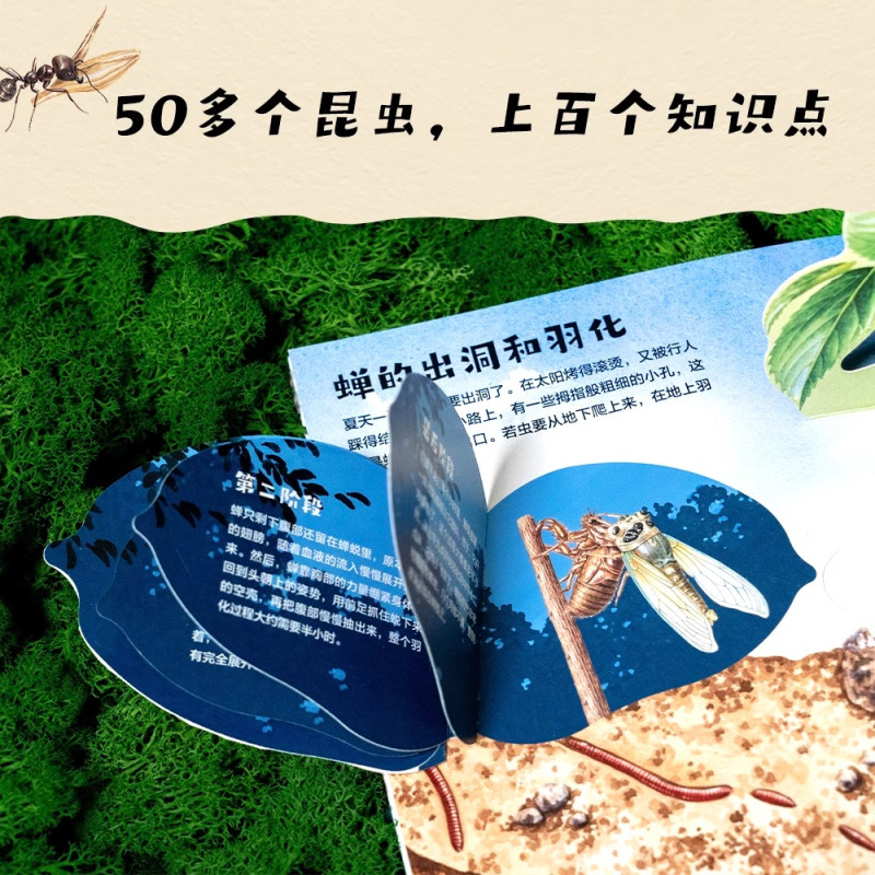 昆虫记立体书 [正版]昆虫记立体书精装3D儿童机关书翻翻书洞洞书法布尔昆虫记原著3-6岁幼儿图画书一二三四五年级小学生课