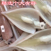 [国产][已通过核酸检测]沈志雄船长 东山岛海鲜有籽带膏小管鱿鱼笔管鱼海兔子4-7个/盒 1盒净重400g 拍2份更实惠