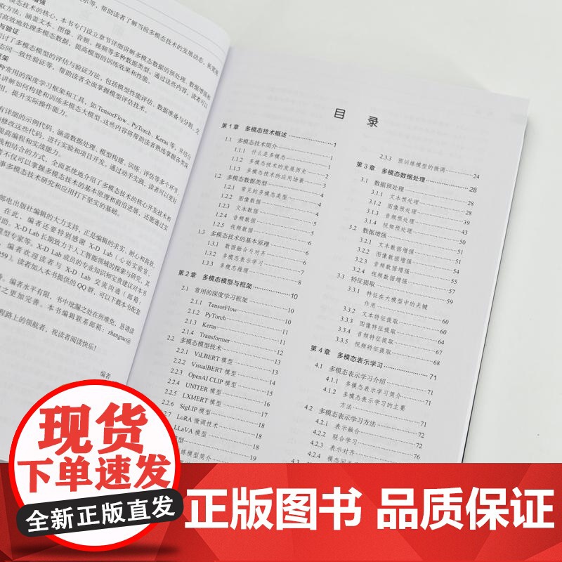多模态大模型技术与开发实战 大模型开发LLM提示工程师GPT deepseek大模型 多模态大语言模型教程高清大图