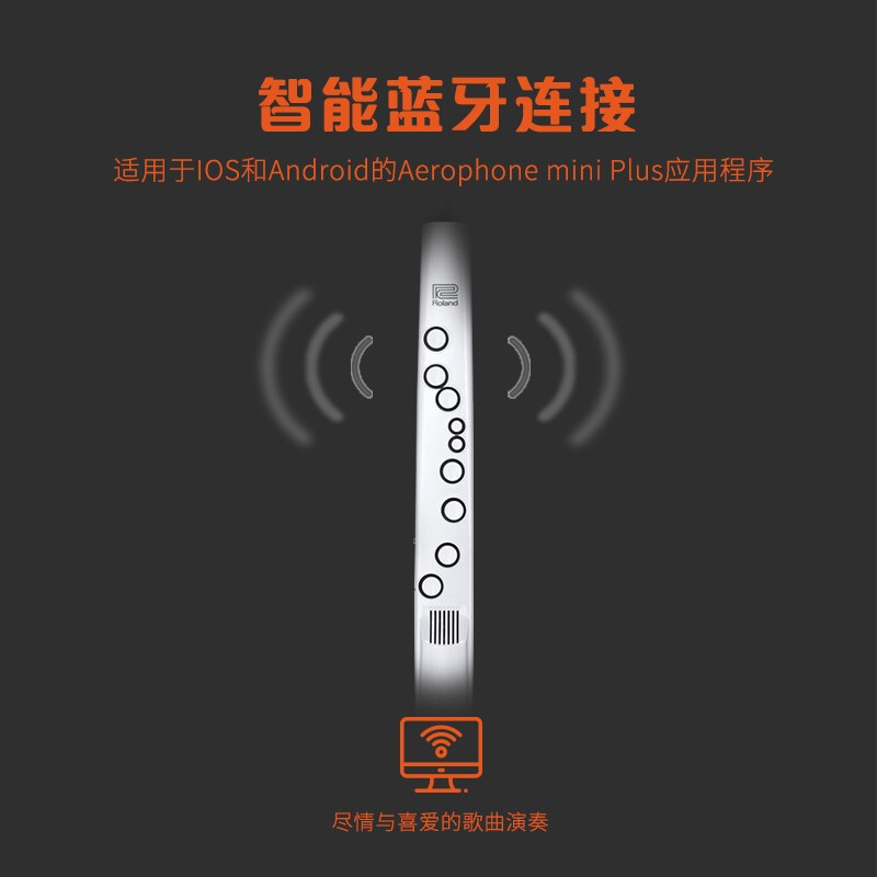 罗兰(Roland)AE-01C电吹管新型电子萨克斯支持蓝牙初学者成人老年人电子管乐+多功能音箱套装