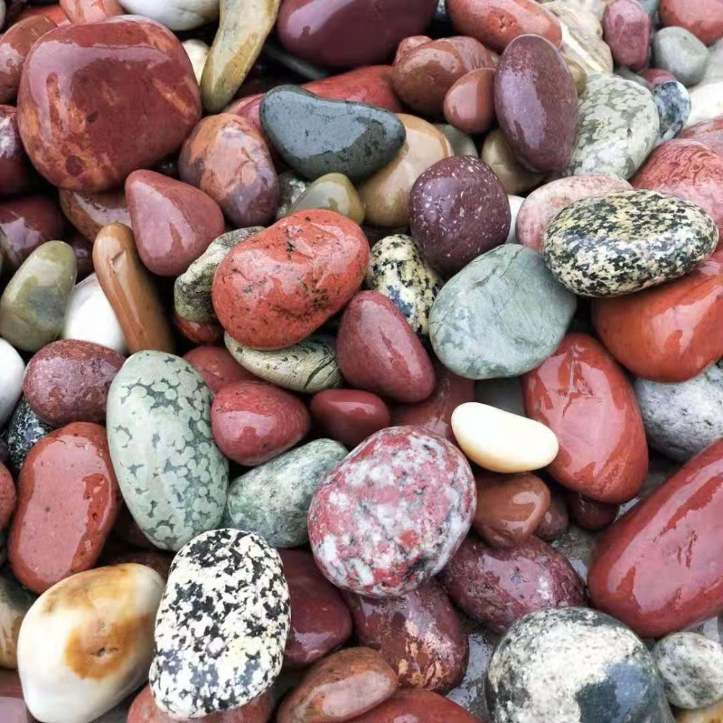 25cm彩石5斤装天然长江彩石精品鱼缸石原石天然鹅卵石铺路石