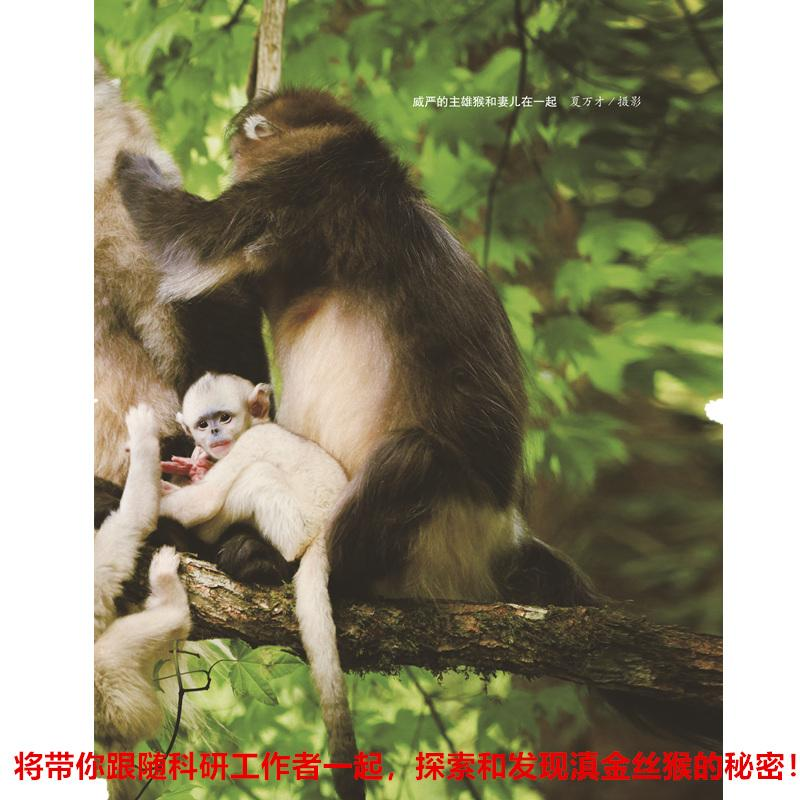 醉染图书红唇美猴传奇9787514843033