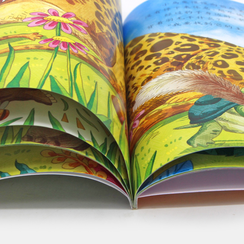 [正版]小牛顿科学馆 第二辑全10册3-6-9-12岁儿童绘本 我的一套科普百科全书绘本读物彩色故事图书籍学前幼儿童D高清大图