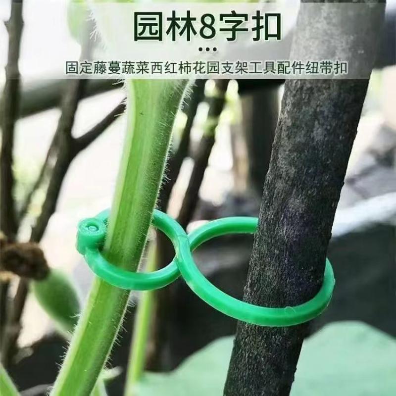园艺8字扣黄瓜西红柿固定夹植物豆角爬藤藤蔓固定神器蔬菜自动扣-农林果蔬八字扣;大号1包