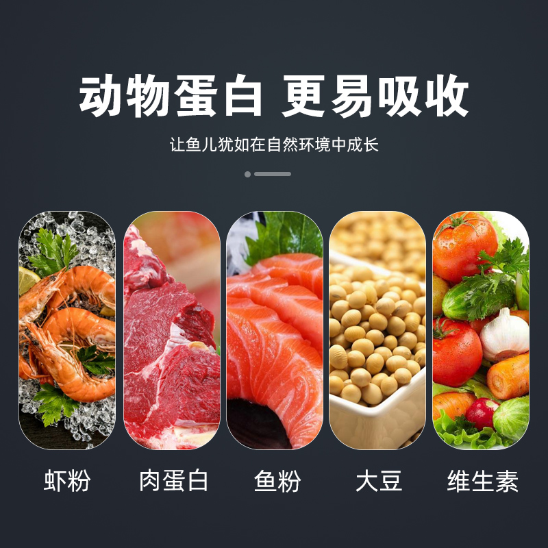 鱼食银龙鱼饲料专用鱼食金龙鱼地图鱼鱼粮中大型鱼面包虫颗粒增色高清大图