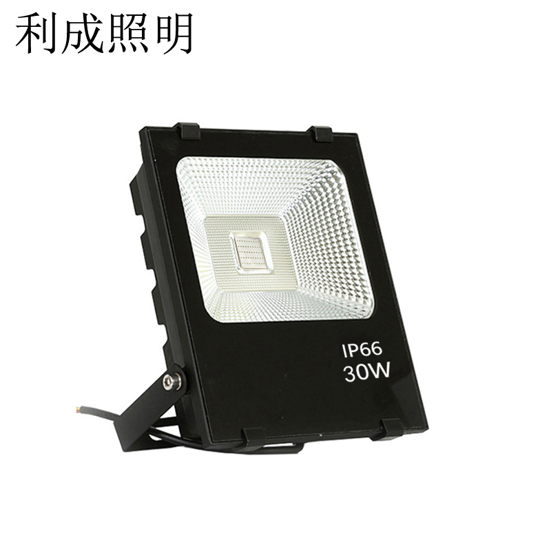 利成照明 彩色泛光灯 LC1321-30W