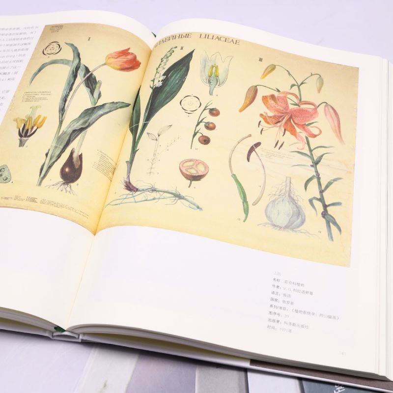 [正版]植物挂图:科学发展黄金阶段的艺术(120余幅精美挂图,解读多姿多彩的植物世界,精巧描绘植物生命的奥秘)高清大图