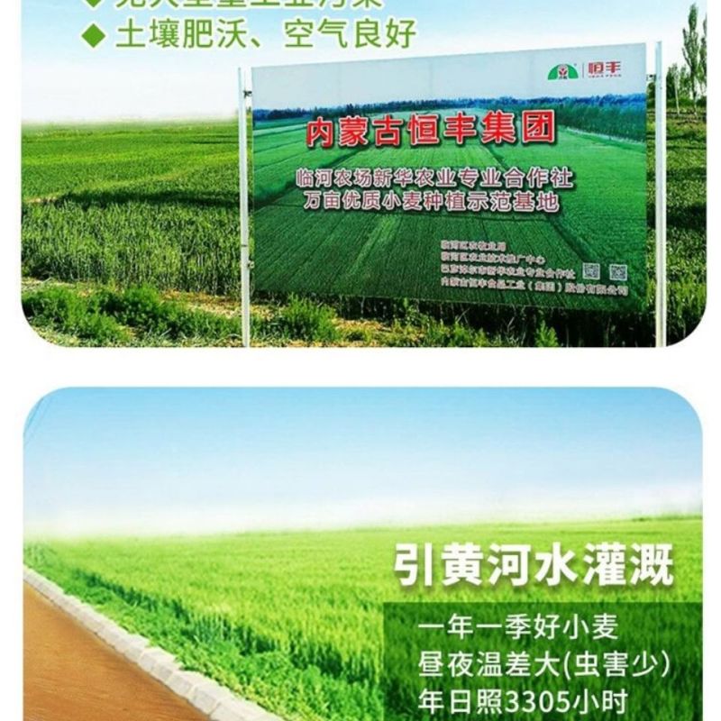 河套高筋小麦粉5kg