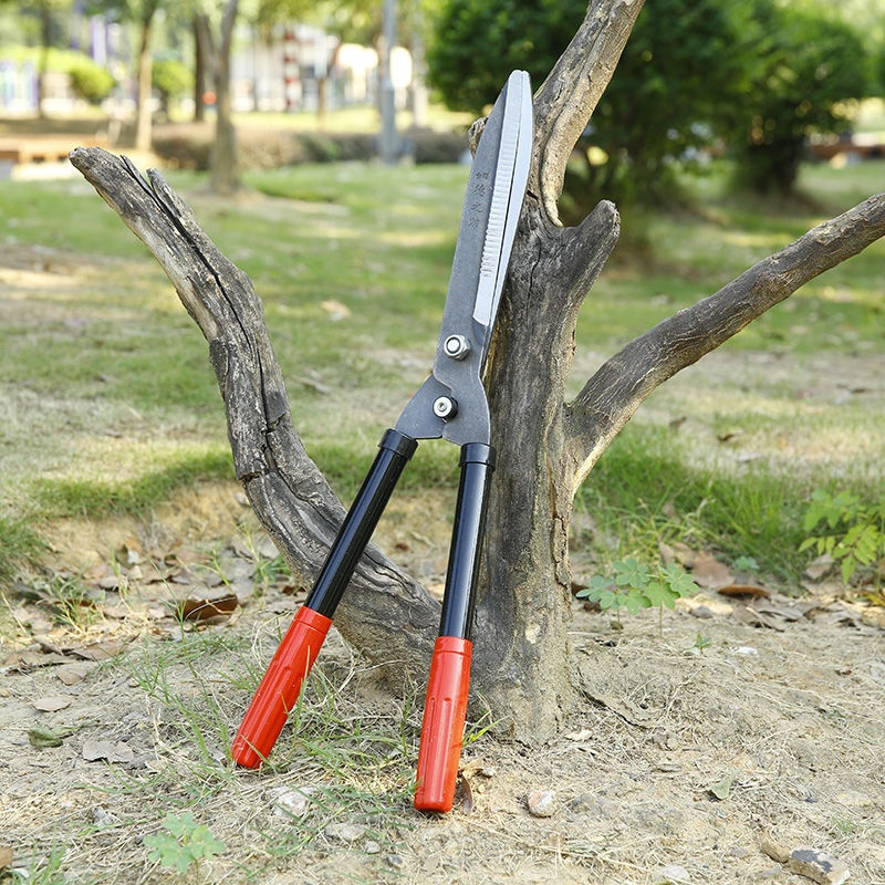 进口绿篱剪草坪剪园林修枝剪园艺大剪刀绿化粗枝果树枝工具