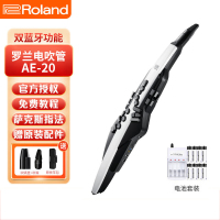 Roland罗兰AE20电吹管电子萨克斯吹管成人老年人电子管吹奏乐器 AE-20【便携包+8节充电电池】