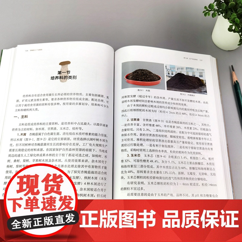 杏鲍菇工厂化栽培 郑雪平 刘遐 郑烜如 食用菌工厂化栽培是具现代农业特征的先进生产方式国内外杏鲍菇工厂化生产的栽培模式高清大图