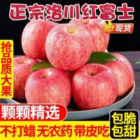 陕西正宗洛川红富士苹果 9斤带箱 单果75-80mm 新鲜水果 陈小四水果