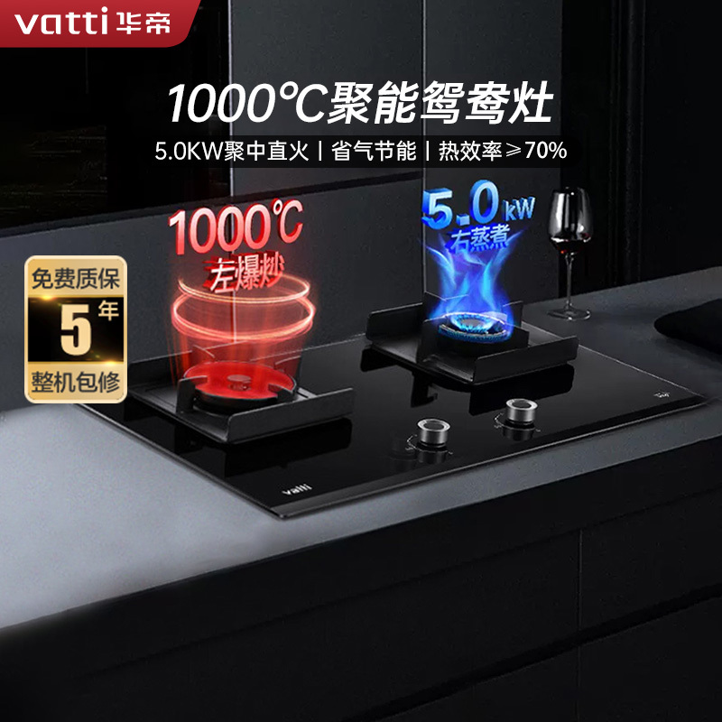 华帝(vatti)5.0KW大火力燃气灶天然气鸳鸯聚能炉灶可拆卸炉头嵌入式台式双灶具JZT-i10062B
