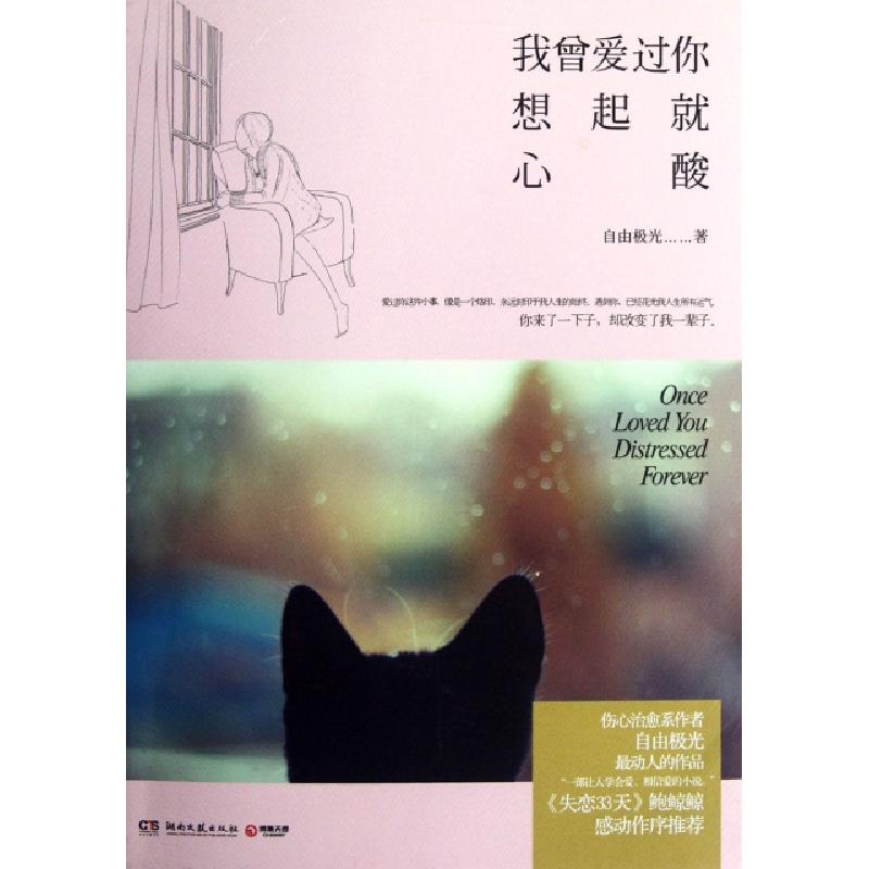 正版新书]我曾爱过你想起就心酸自由极光9787540457099高清大图