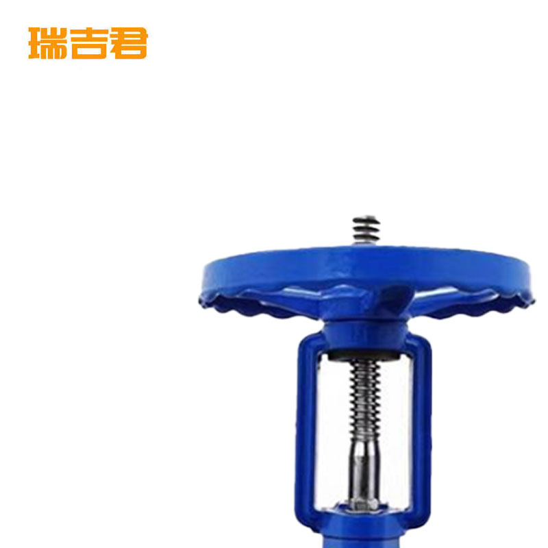 瑞吉君 软密封明杆闸阀 DN65 个高清大图