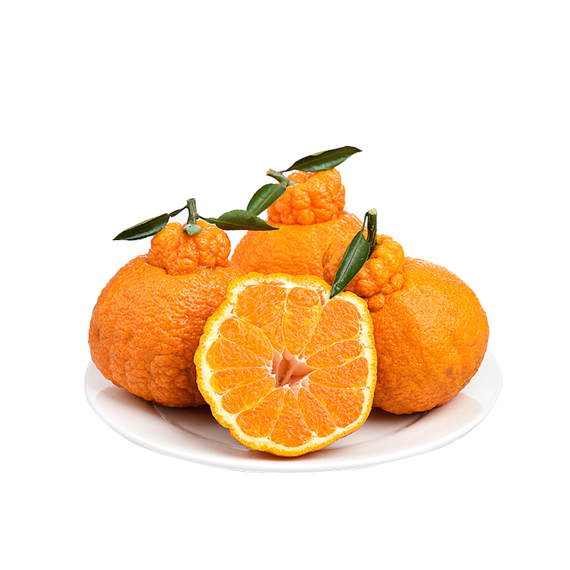 四川不知火丑橘500g50g