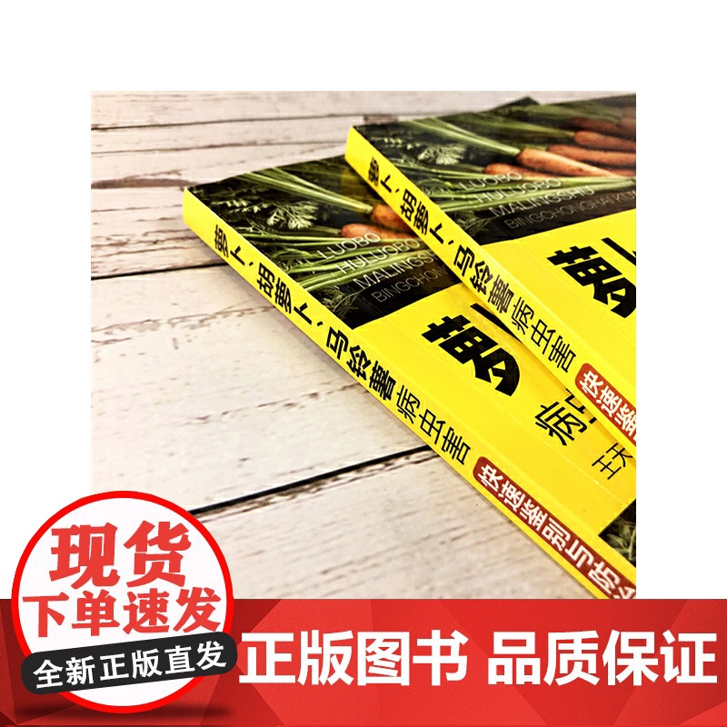 萝卜、胡萝卜、马铃薯病虫害快速鉴别与防治妙招 王天元 化学工业出版社 正版书籍高清大图
