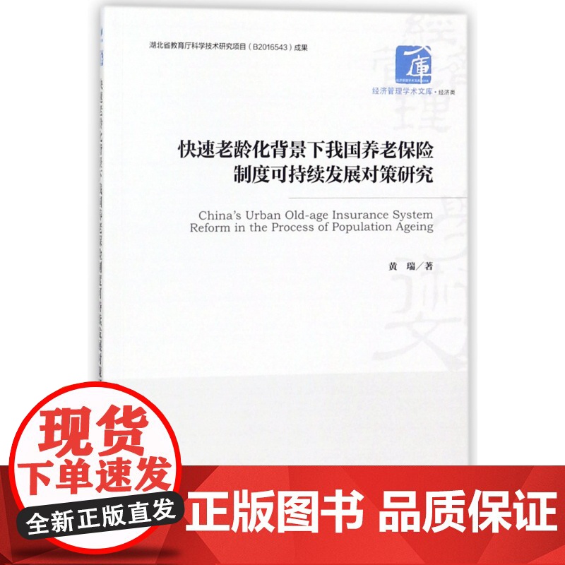 快速老龄化背景下我国养老保险制度可持续发展对策研究/经济高清大图