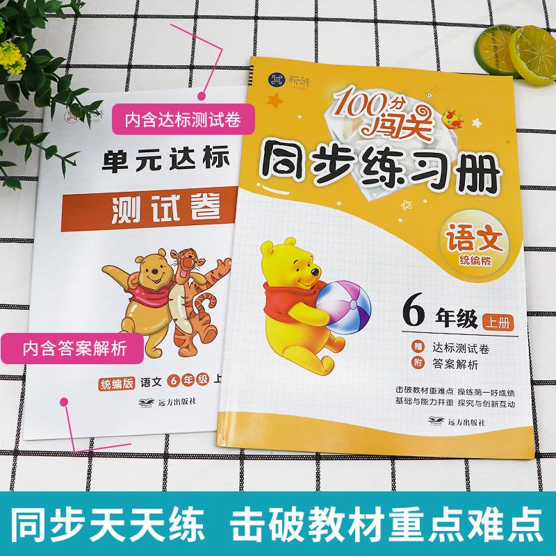 一二三四五六年级上下册语文数学同步练习册人教版北师版一课一练 六年级下册 人教英语图片