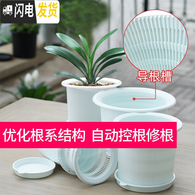 三维工匠君子兰蝴蝶兰专用花盆透气塑料树脂月季控根花盆 内径20cm咖色[无托盘] 中等花盆容器