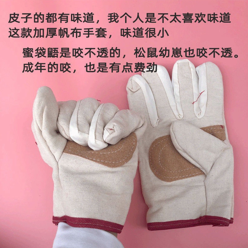 防咬手套松鼠飞鼠蜜袋鼯土巴鼠仓鼠猫狗狗防抓咬加厚手套宠物用品 加厚帆布手套