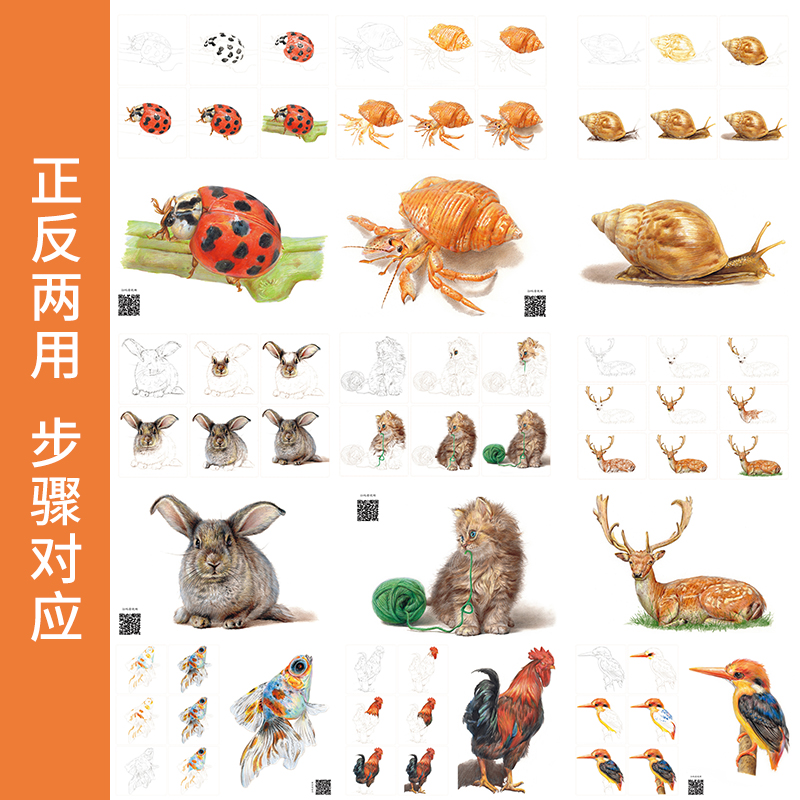 [醉染正版]彩铅临摹卡动物篇2022一线美誉步骤对应美术绘画卡片兴趣高清原创高清大图
