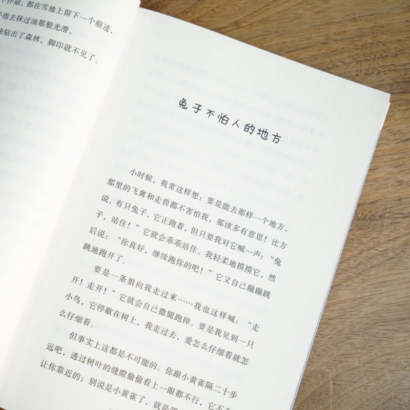 雪地寻踪 [正版] 雪地寻踪 儿童文学 自然文学作家比安基的经典作品 阅读滋养心灵 儿童自主阅读 小学五年级大语文阅读