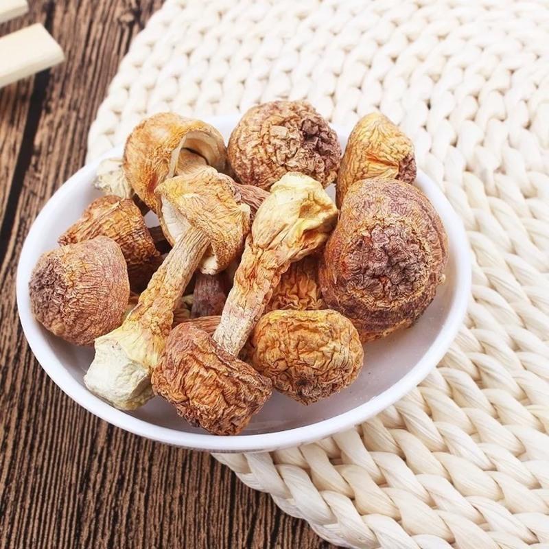 东北姬松茸长白山新鲜松茸菌 松茸菇干货汤菌菇250g